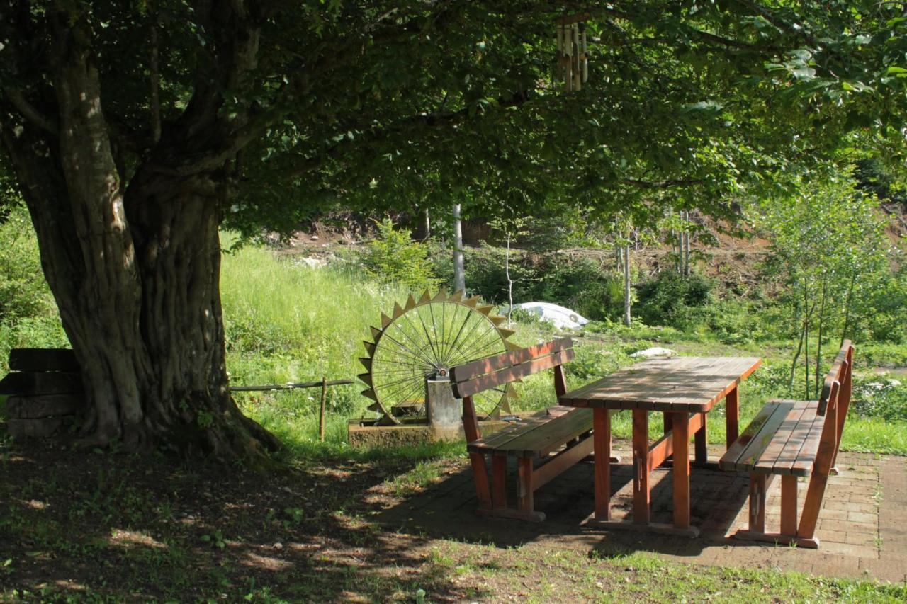 Bosco Delle Rune ..Un Angolo Di Paradiso Platischis Kültér fotó