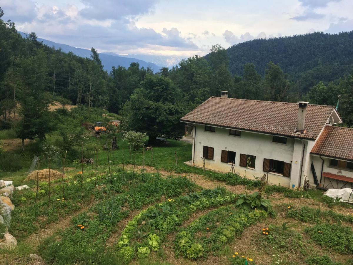 Bosco Delle Rune ..Un Angolo Di Paradiso Platischis Kültér fotó
