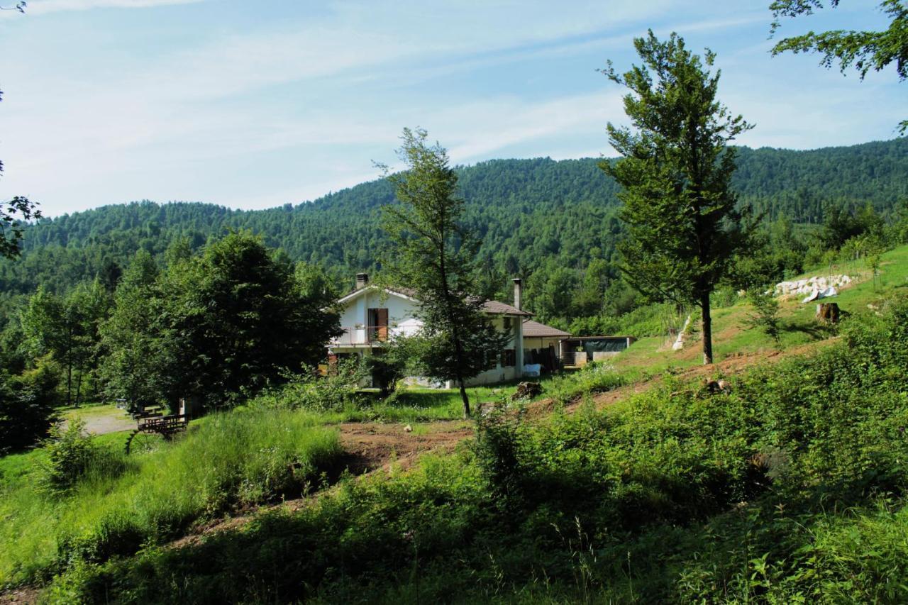 Bosco Delle Rune ..Un Angolo Di Paradiso Platischis Kültér fotó